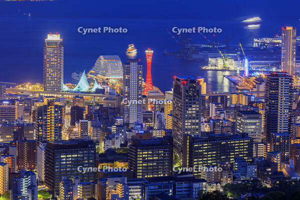 市章山より神戸市街と神戸港夜景 [MOP110105796]