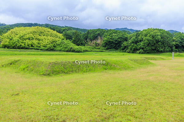 新緑の山田寺金堂跡 [MOP110105814]