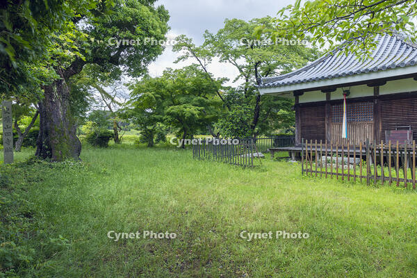 新緑の山田寺講堂跡観音堂 [MOP110105816]