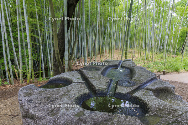 新緑の酒船石遺跡　酒船石 [MOP110105821]