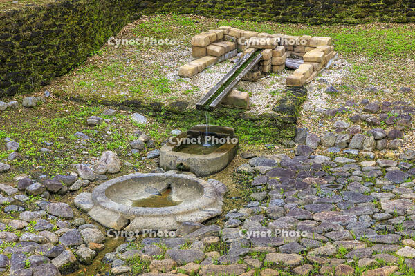 新緑の酒船石遺跡　亀形石造物 [MOP110105825]