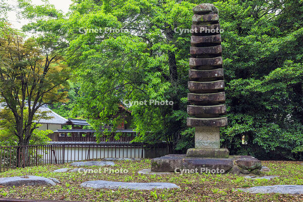 新緑の檜隈寺跡,十三重石塔 [MOP110105838]