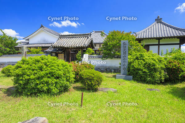 新緑の川原寺跡と弘福寺 [MOP110105871]
