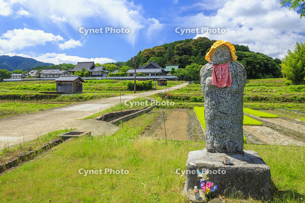 新緑の橘寺 [MOP110105872]
