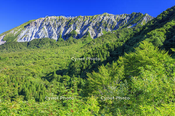 鍵掛峠より大山(伯耆富士) [MOP110106731]