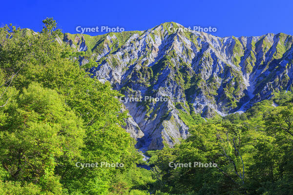 三の沢より大山(伯耆富士) [MOP110106732]