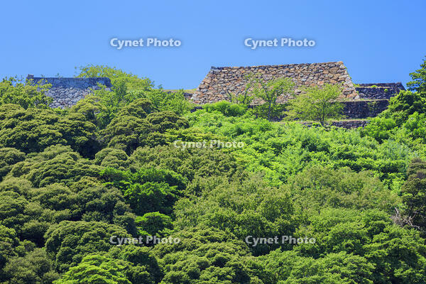 米子城跡　本丸石垣 [MOP110106754]
