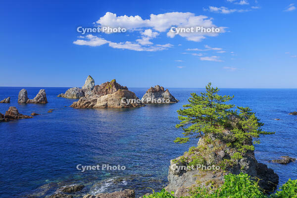穴見海岸 [MOP110106811]