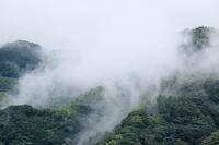 層雲 [BAB110002965]