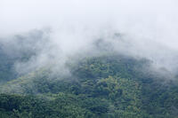 層雲 [BAB110002966]