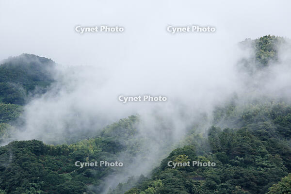 層雲 [BAB110002965]