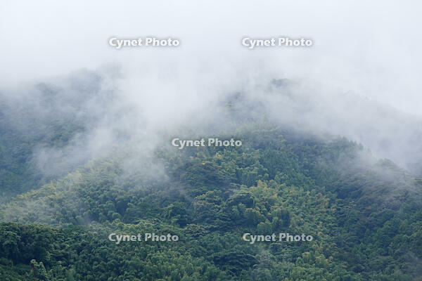 層雲 [BAB110002966]