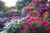 港の見える丘公園 [BAH110006765]