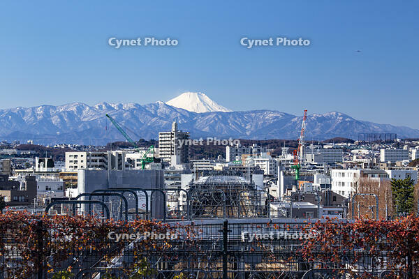 都会から見える富士山　東京都　世田谷区 [BAH110003168]