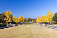 秋の昭和記念公園　立川口付近 [TMT110001505]