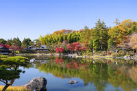秋の昭和記念公園　日本庭園 [TMT110001516]