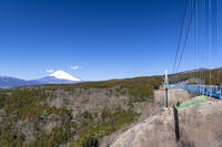 三島スカイウォークと富士山 [TMT110001520]