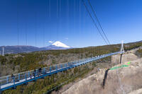 三島スカイウォークと富士山 [TMT110001521]