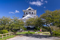 館山城 [TMT110001532]