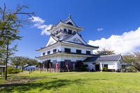 館山城 [TMT110001533]
