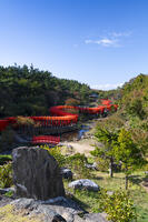 高山稲荷神社 千本鳥居 [TMT110001592]