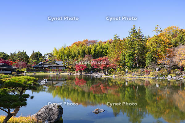 秋の昭和記念公園　日本庭園 [TMT110001516]