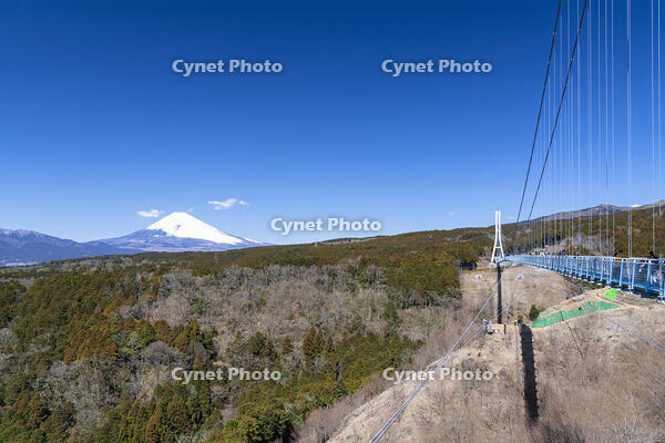 三島スカイウォークと富士山 [TMT110001520]