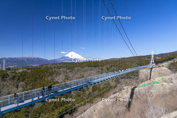 三島スカイウォークと富士山 [TMT110001521]