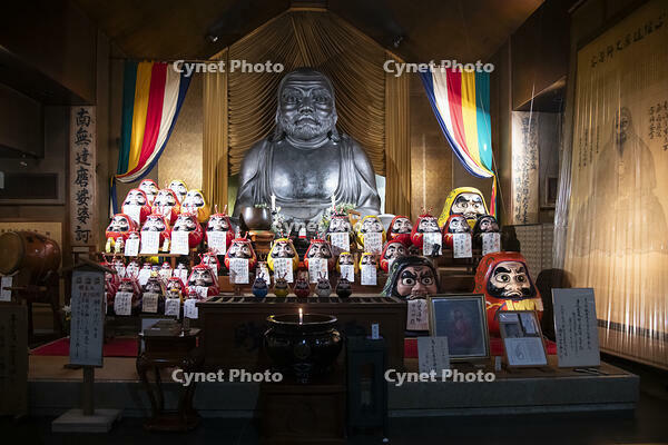 土肥達磨寺　達磨大使坐像 [TMT110001525]