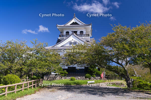 館山城 [TMT110001532]