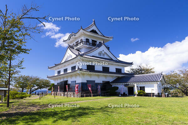 館山城 [TMT110001533]