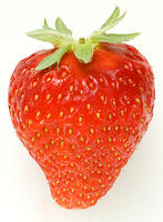 イチゴ [NIC110000504]