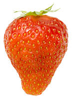 イチゴ [NIC110000505]