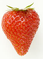イチゴ [NIC110000508]