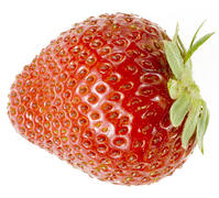 イチゴ [NIC110000510]