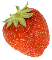 イチゴ [NIC110000511]