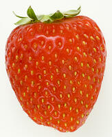 イチゴ [NIC110000512]