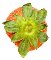 イチゴ [NIC110000514]