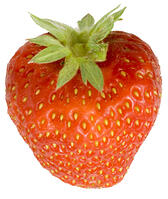 イチゴ [NIC110000515]