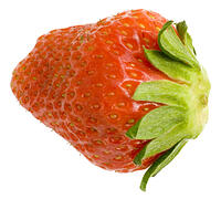 イチゴ [NIC110000518]