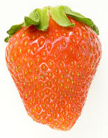 イチゴ [NIC110000519]