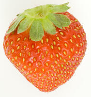 イチゴ [NIC110000521]