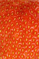 イチゴの表面 [NIC110000526]