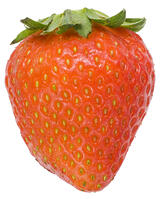 イチゴ [NIC110000527]