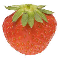 イチゴ [NIC110000528]