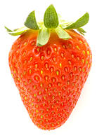 イチゴ [NIC110000529]