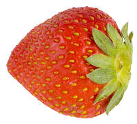イチゴ [NIC110000530]