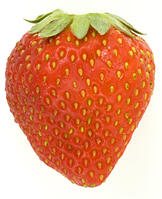 イチゴ [NIC110000531]