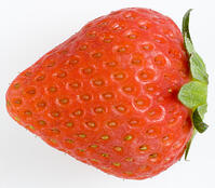 イチゴ [NIC110000533]