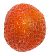 イチゴの尻 [NIC110000534]